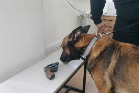 Одесские таможенники изъяли из двух авто оружие и боеприпасы, которые пытались незаконно перевезти в Молдову (фото)