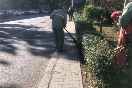  Одесские озеленители продолжают санитарную обрезку деревьев, высадку хризантем и покос травы (фото)