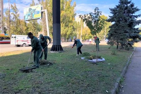  Одесские озеленители продолжают санитарную обрезку деревьев, высадку хризантем и покос травы (фото)