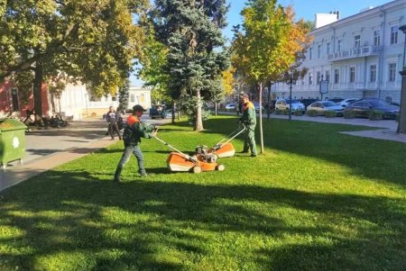  Одесские озеленители продолжают санитарную обрезку деревьев, высадку хризантем и покос травы (фото)