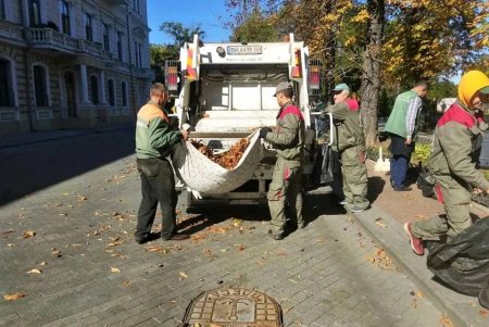  Одесские озеленители продолжают санитарную обрезку деревьев, высадку хризантем и покос травы (фото)
