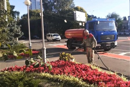  Одесские озеленители продолжают санитарную обрезку деревьев, высадку хризантем и покос травы (фото)