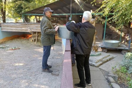 Теплолюбивые питомцы Одесского зоопарка переезжают в зимние помещения: переселены шпоровые черепахи (фото)