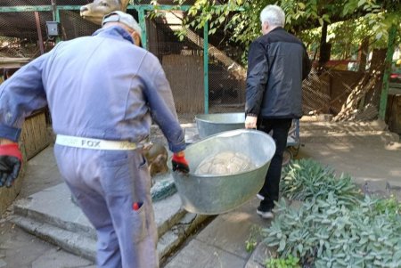 Теплолюбивые питомцы Одесского зоопарка переезжают в зимние помещения: переселены шпоровые черепахи (фото)