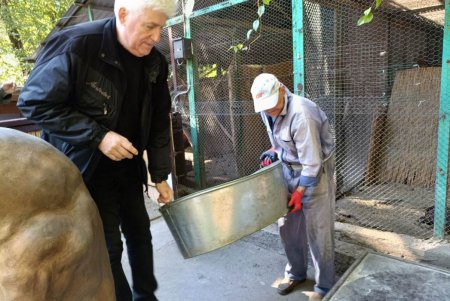 Теплолюбивые питомцы Одесского зоопарка переезжают в зимние помещения: переселены шпоровые черепахи (фото)