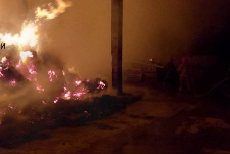 В селе Лысогорка Кодымской ОТГ сгорела скирда соломы