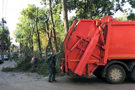 Коммунальщики привели в порядок деревья в Старобазарном сквере и убрали на Соборке опавшую листву (фото)
