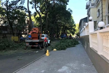 Коммунальщики привели в порядок деревья в Старобазарном сквере и убрали на Соборке опавшую листву (фото)