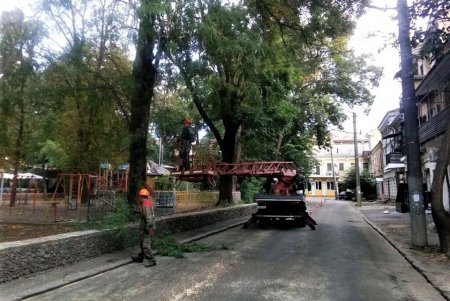 Коммунальщики привели в порядок деревья в Старобазарном сквере и убрали на Соборке опавшую листву (фото)