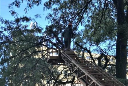 Коммунальщики привели в порядок деревья в Старобазарном сквере и убрали на Соборке опавшую листву (фото)