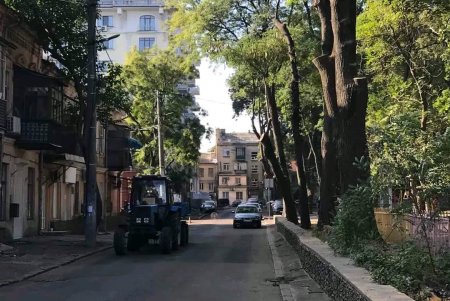 Коммунальщики привели в порядок деревья в Старобазарном сквере и убрали на Соборке опавшую листву (фото)