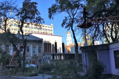 Коммунальщики привели в порядок деревья в Старобазарном сквере и убрали на Соборке опавшую листву (фото)