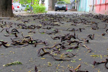 Старые дома, граффити и архитектурные сокровища улицы Кузнечной: воскресная прогулка по старой Одессе (фоторепортаж)