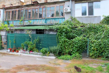 Старые дома, граффити и архитектурные сокровища улицы Кузнечной: воскресная прогулка по старой Одессе (фоторепортаж)