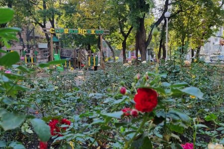 Одесские коммунальные службы создают все условия для приехавших в город переселенцев (фото)