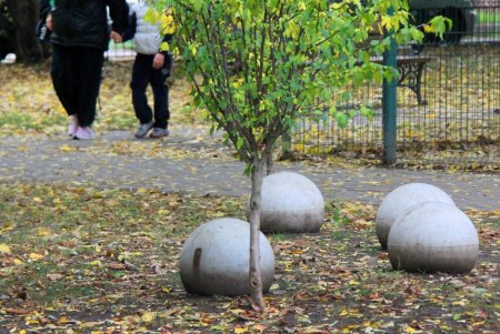 Сквер на 7-й станции Большого Фонтана: сказка, застывшая в дереве (фоторепортаж)
