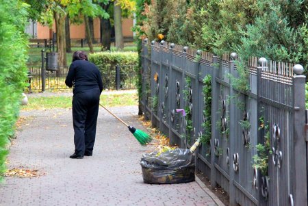 Сквер на 7-й станции Большого Фонтана: сказка, застывшая в дереве (фоторепортаж)