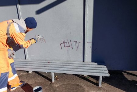 Коммунальщики восстановили десять остановочных комплексов, изуродованных вандалами в октябре (фото)