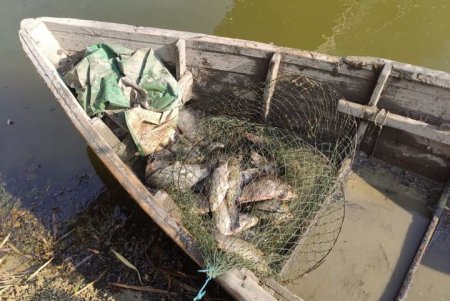 Рыбоохранный патруль выявил факт незаконного рыбного промысла: нарушитель нанес рыбному хозяйству ущерб на 1️40 тысяч гривен (фото)