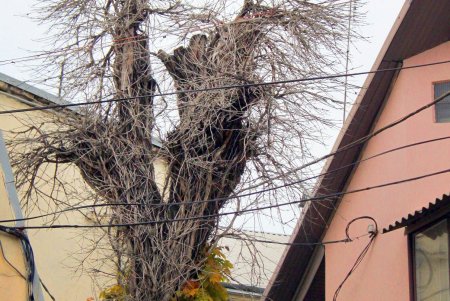 Улица Нежинская: купеческие дома, дворы-колодцы и новоделы, которые вписались в общую старинную атмосферу (фоторепортаж) 