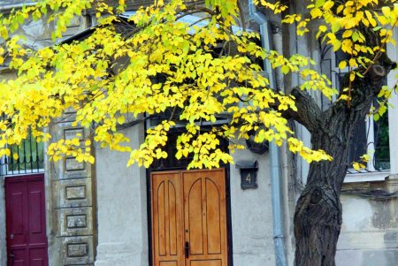 Улица Нежинская: купеческие дома, дворы-колодцы и новоделы, которые вписались в общую старинную атмосферу (фоторепортаж) 