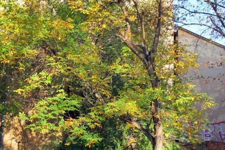 Улица Нежинская: купеческие дома, дворы-колодцы и новоделы, которые вписались в общую старинную атмосферу (фоторепортаж) 