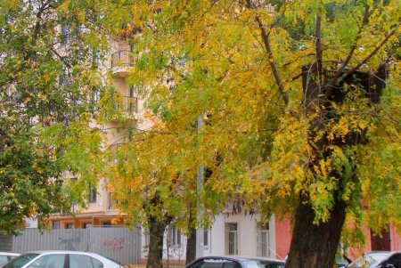 Улица Нежинская: купеческие дома, дворы-колодцы и новоделы, которые вписались в общую старинную атмосферу (фоторепортаж) 
