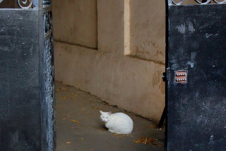 Улица Нежинская: купеческие дома, дворы-колодцы и новоделы, которые вписались в общую старинную атмосферу (фоторепортаж) 