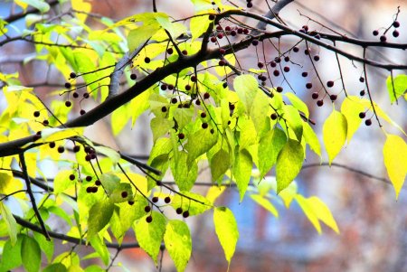 Улица Нежинская: купеческие дома, дворы-колодцы и новоделы, которые вписались в общую старинную атмосферу (фоторепортаж) 