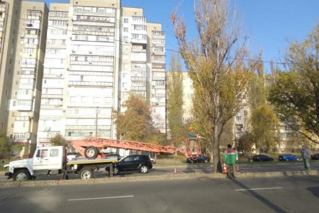 Одесские коммунальщики заготавливают дрова для учреждений образования, убежищ и пунктов обогрева (фото)