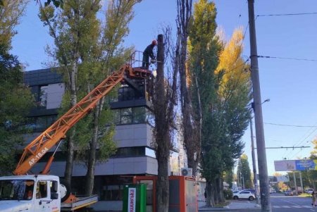 Одесские коммунальщики заготавливают дрова для учреждений образования, убежищ и пунктов обогрева (фото)