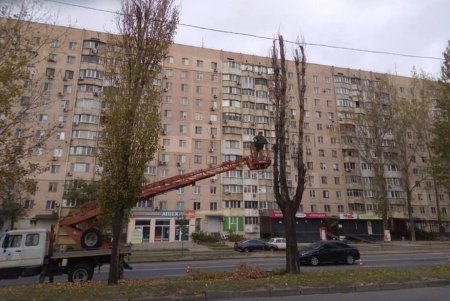 Одесские коммунальщики заготавливают дрова для учреждений образования, убежищ и пунктов обогрева (фото)