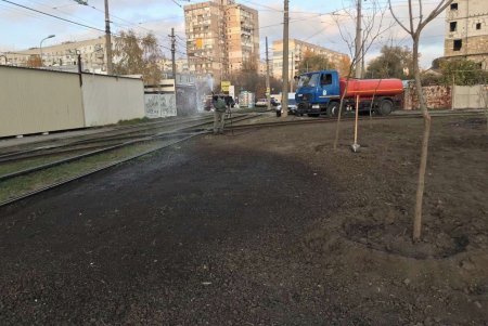 Озеленители высаживают во всех районах города ясени, гибискусы, мыльные и иудины деревья (фото)