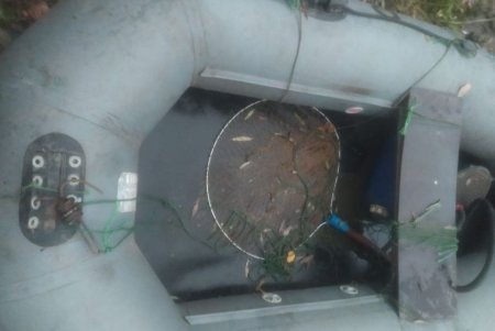 В Одесской области злоумышленник незаконно выловил рыбы более, чем на сто семьдесят тысяч гривен (фото)