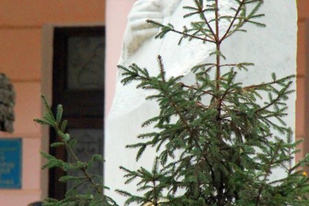 Институт имени Филатова — уникальная здравница, распложенная на одном из самых красивых одесских бульваров (фоторепортаж)