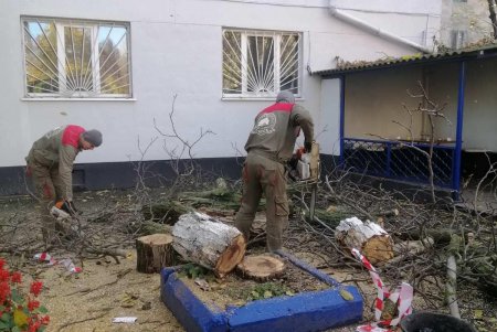 В разных районах Одессы коммунальщики ликвидировали аварийные ситуации с деревьями (фото)