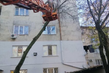 В разных районах Одессы коммунальщики ликвидировали аварийные ситуации с деревьями (фото)