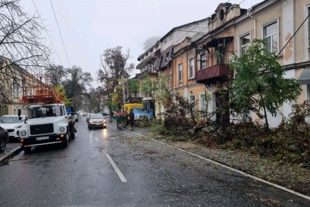 Коммунальщики оперативно убрали с проезжей части упавшее дерево (фото)