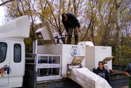 В крупнейшие лиманы Одесской области выпущено более 11 тонн мальков ценных пород рыбы (видео)