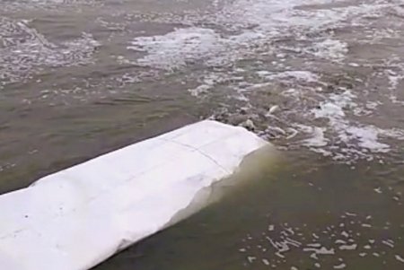 В крупнейшие лиманы Одесской области выпущено более 11 тонн мальков ценных пород рыбы (видео)