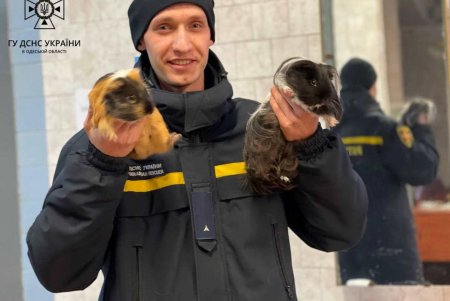 В одном из Пунктов несломленности для психологической поддержки задействовали животных (фото)