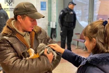 В одном из Пунктов несломленности для психологической поддержки задействовали животных (фото)