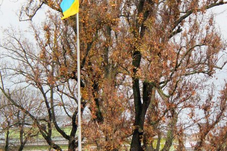 Поздняя осень на одесской Соборке (фоторепортаж)