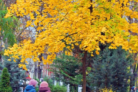 Поздняя осень на одесской Соборке (фоторепортаж)