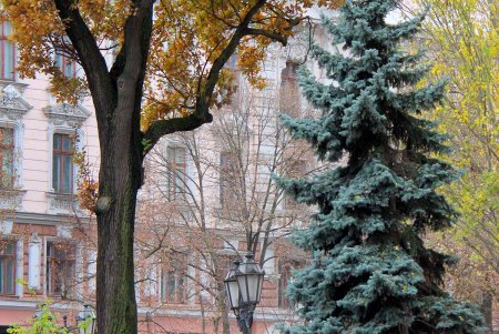 Поздняя осень на одесской Соборке (фоторепортаж)