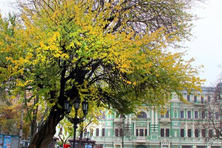 Поздняя осень на одесской Соборке (фоторепортаж)