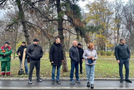 На проспекте Гагарина высадили 45 катальп и 1,5 тысячи кустов (фото)