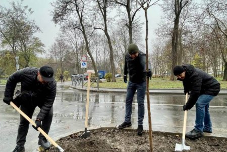 На проспекте Гагарина высадили 45 катальп и 1,5 тысячи кустов (фото)