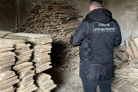 Нанесли ущерб государству в миллион гривен: полицейские Одесской области провели спецоперацию для задержания группировки лесорубов