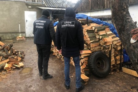 Нанесли ущерб государству в миллион гривен: полицейские Одесской области провели спецоперацию для задержания группировки лесорубов
